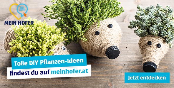 MEIN HOFER Pflanzenigel