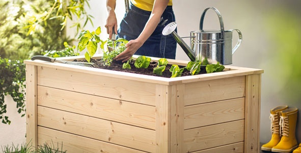 Garten