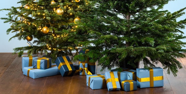 Weihnachtsdekoration