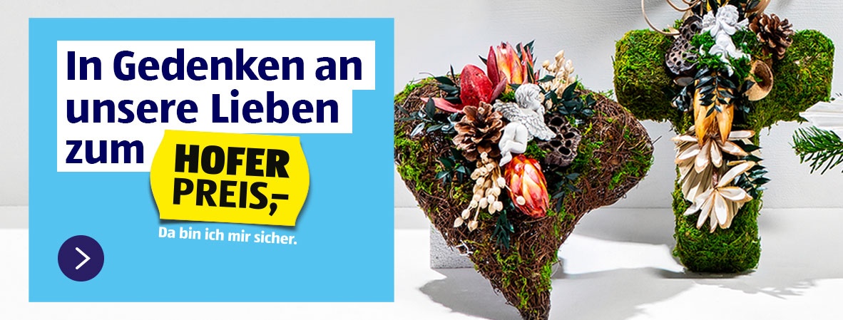 Pflanzen