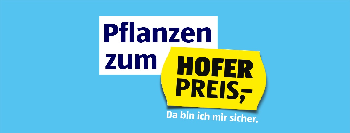 Pflanzen