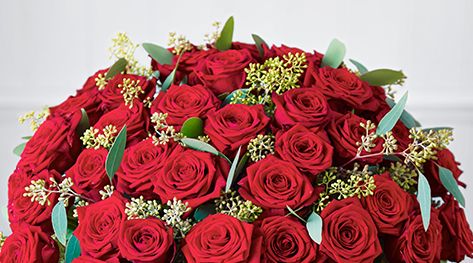 Valentines Day Red Rose Guide Waitrose Florist