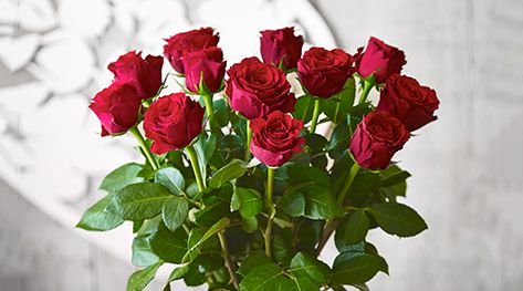 Valentines Day Red Rose Guide Waitrose Florist