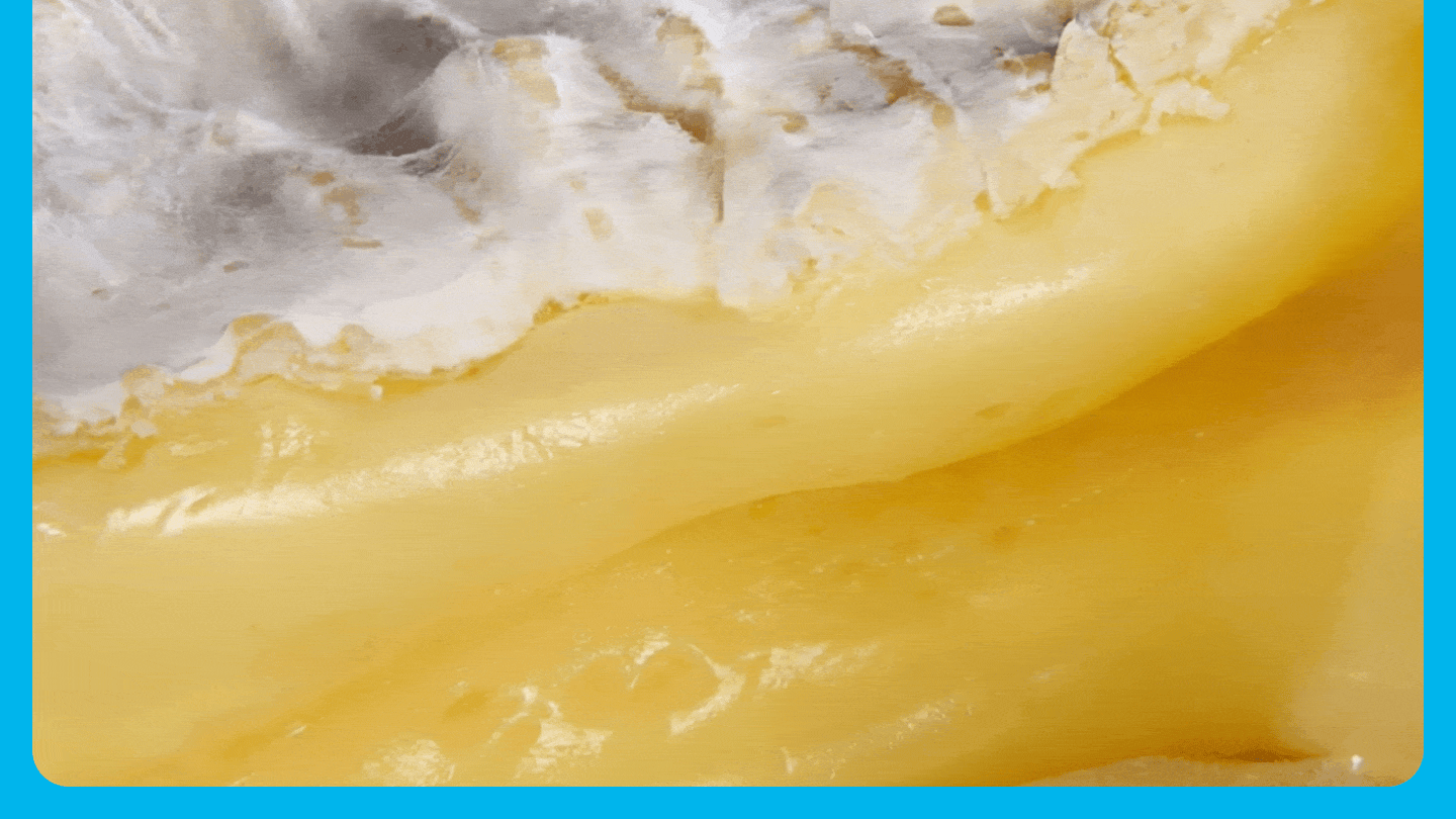 Camembert