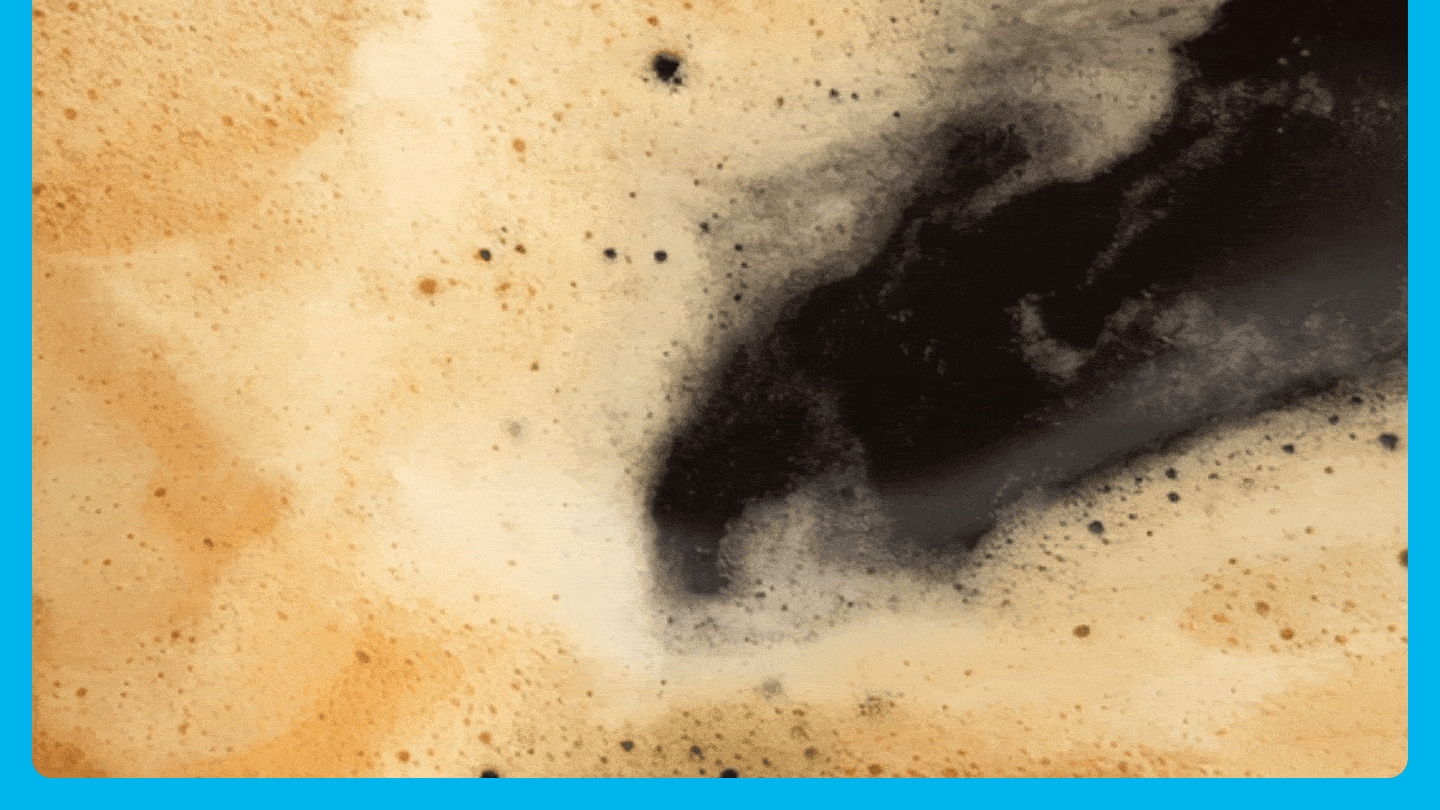 Allongé, serré, capsules lungo crema x20