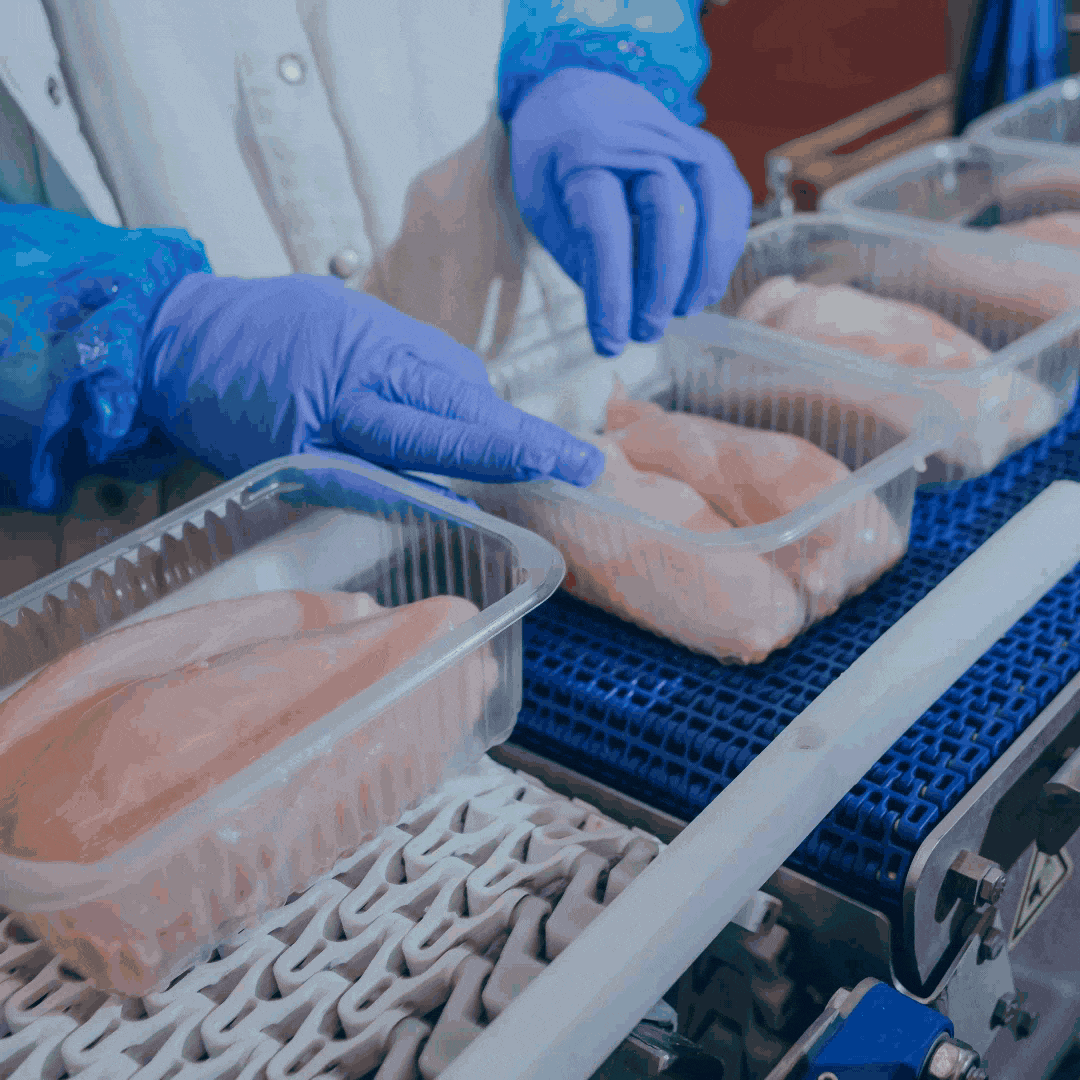 GENE-UP QUANT Salmonella GIF