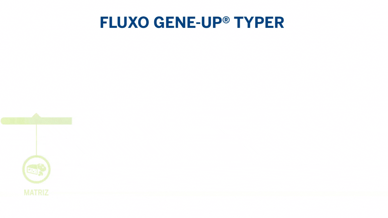 GENE-UP TYPER Workflow