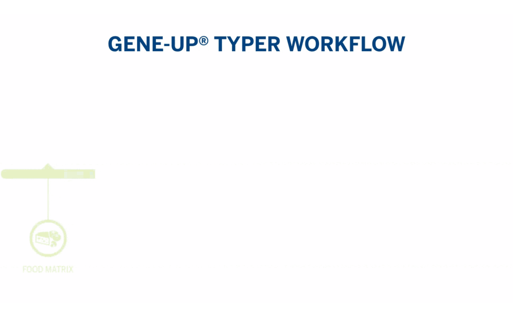 GENE UP Typer Workflow Resize