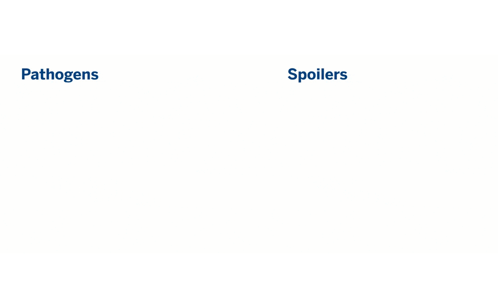 Pathogen and Spoiler Challenges and Solutions