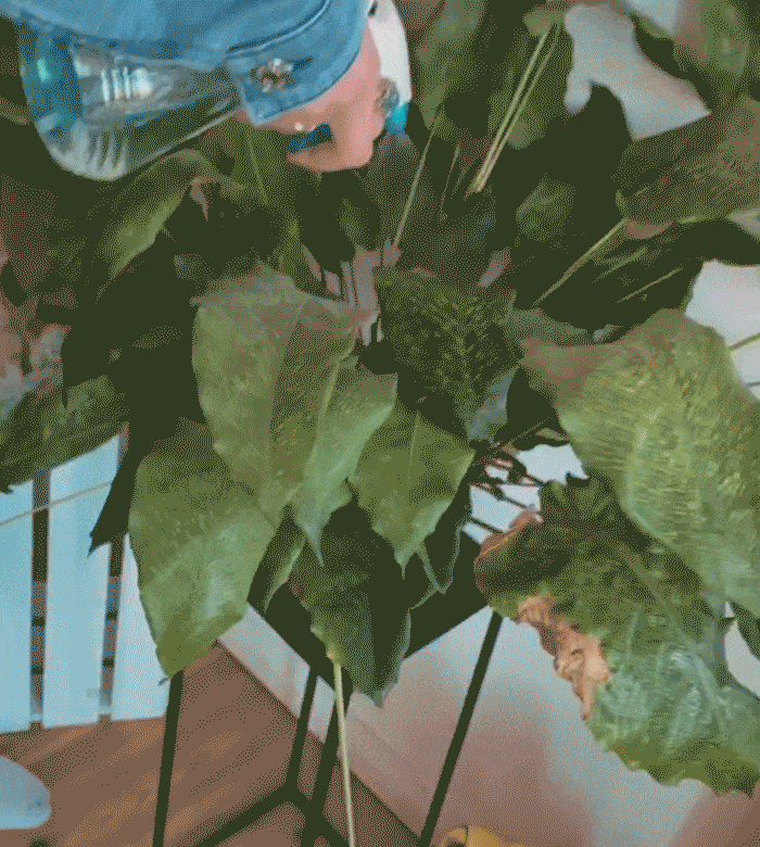 Couple in HUGO outfits