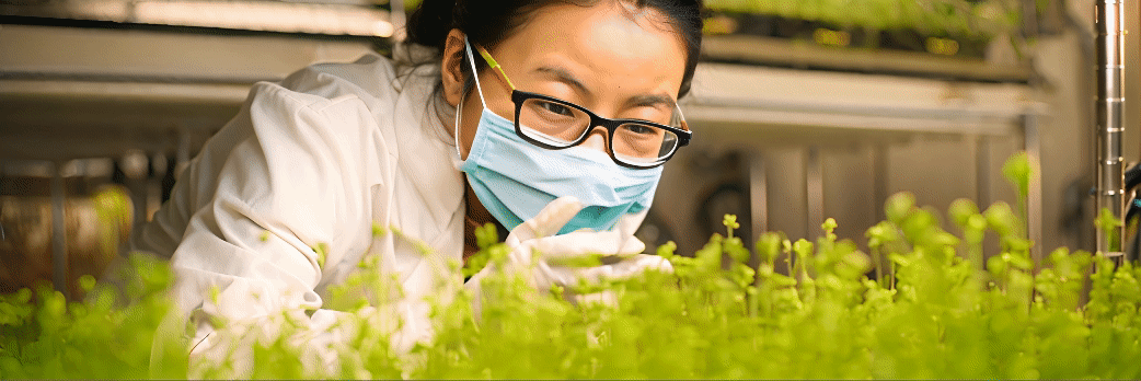 Growing plants in lab, female scientist