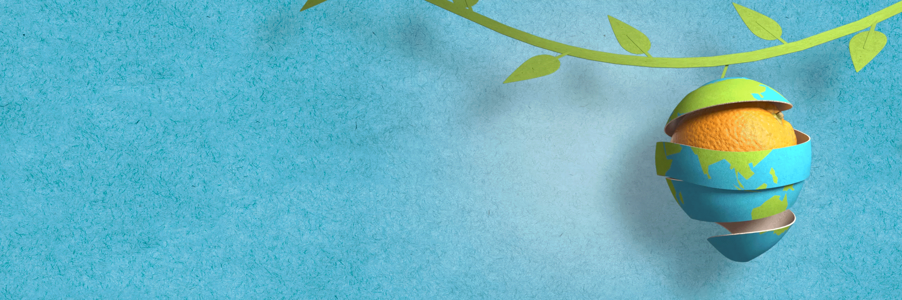 Orange with globe wrapped around in cardboard