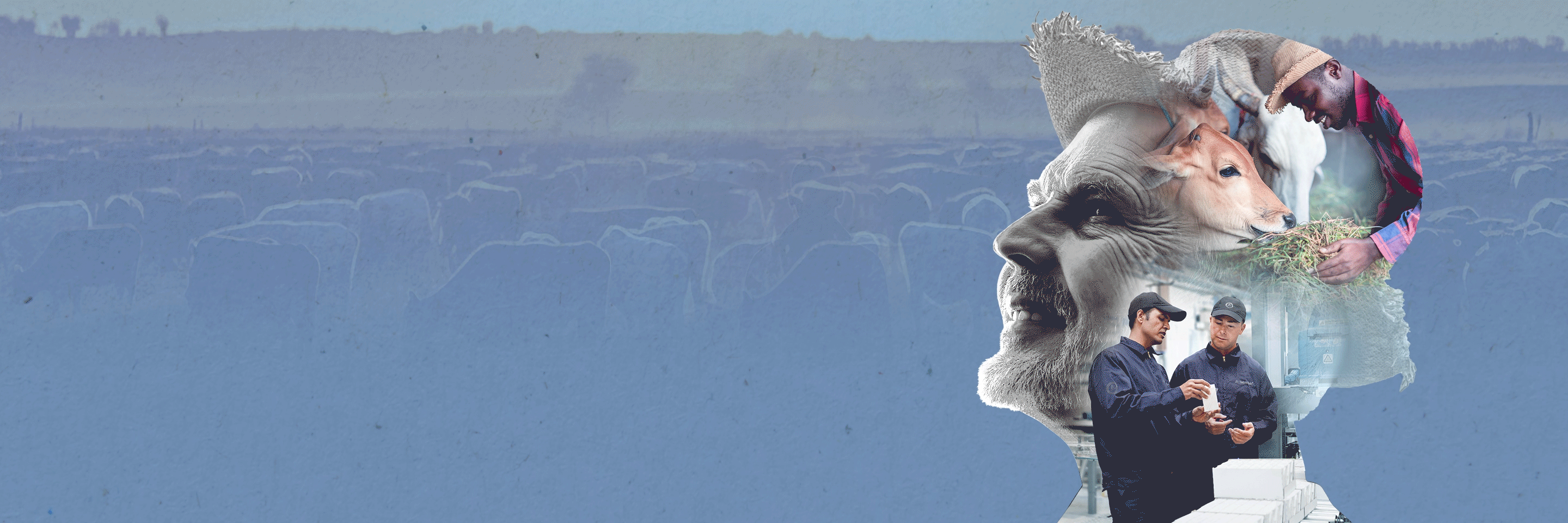 Artistic illustration, man with straw hat