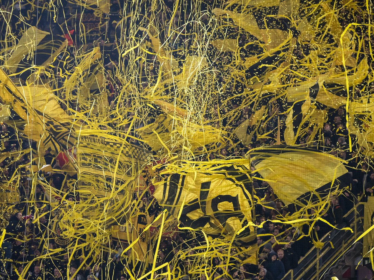 Discover Fan community.