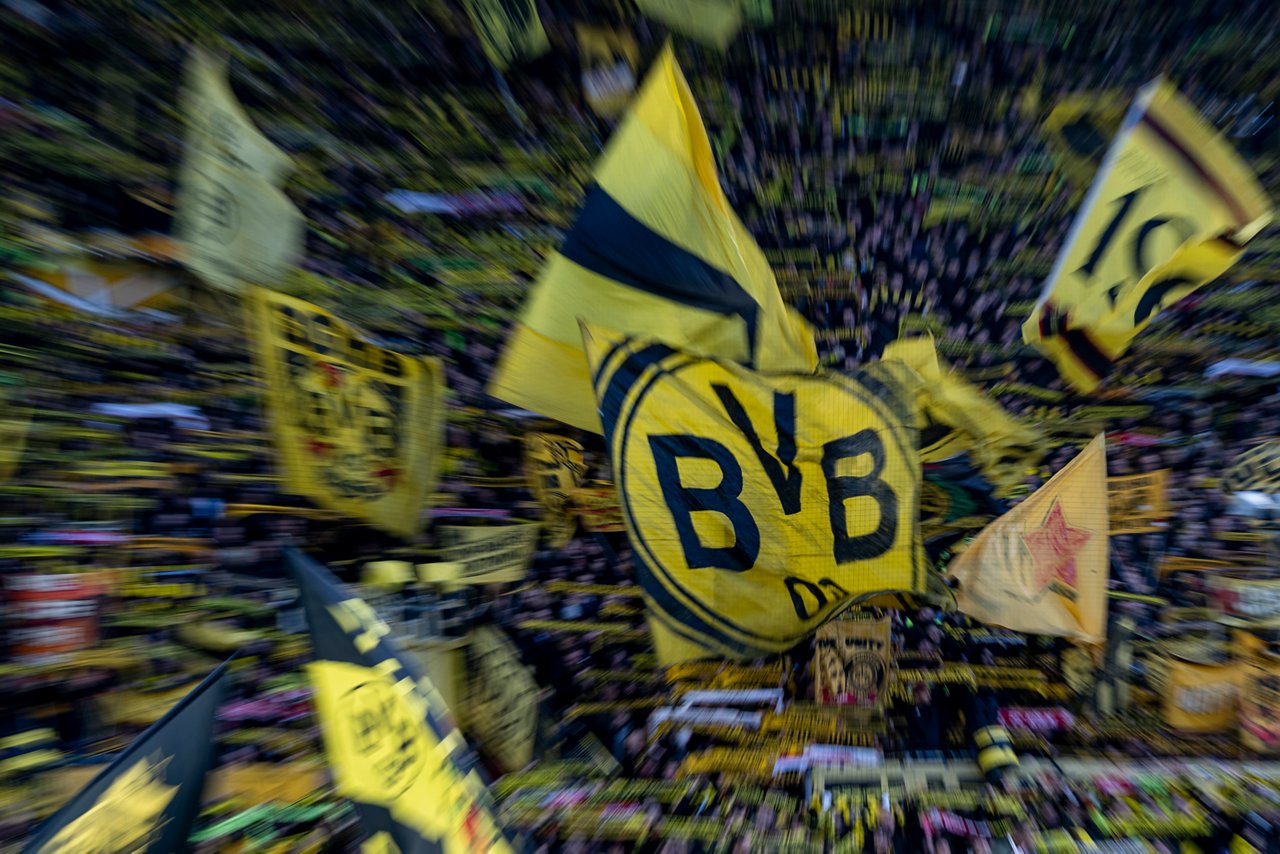 bvb fans