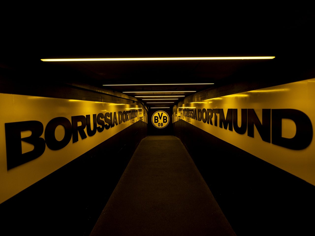 Discover Governance.