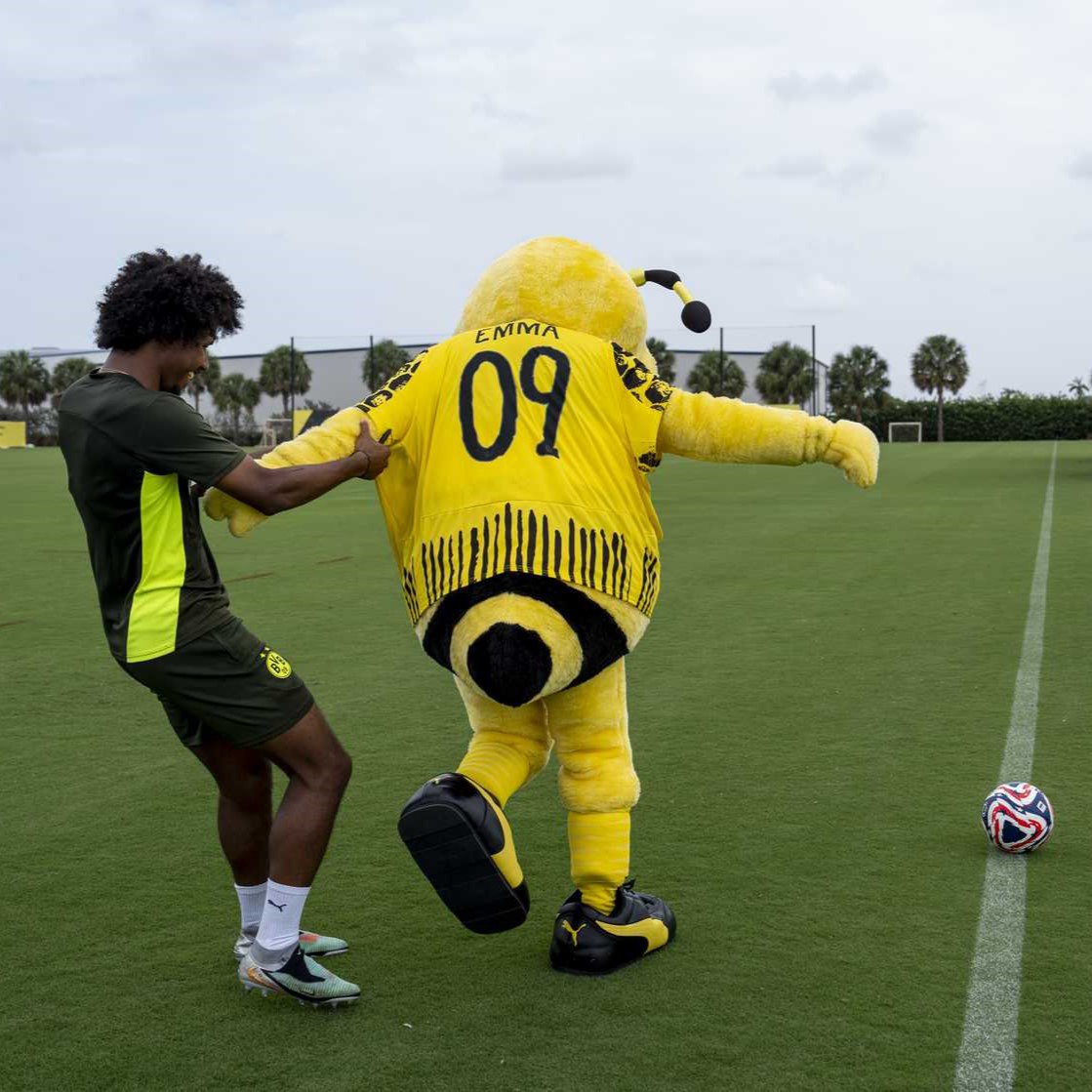 BVB mascot EMMA with the number 09 on the back, seen from behind.
