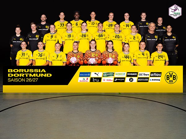 Discover the BVB handball first team.