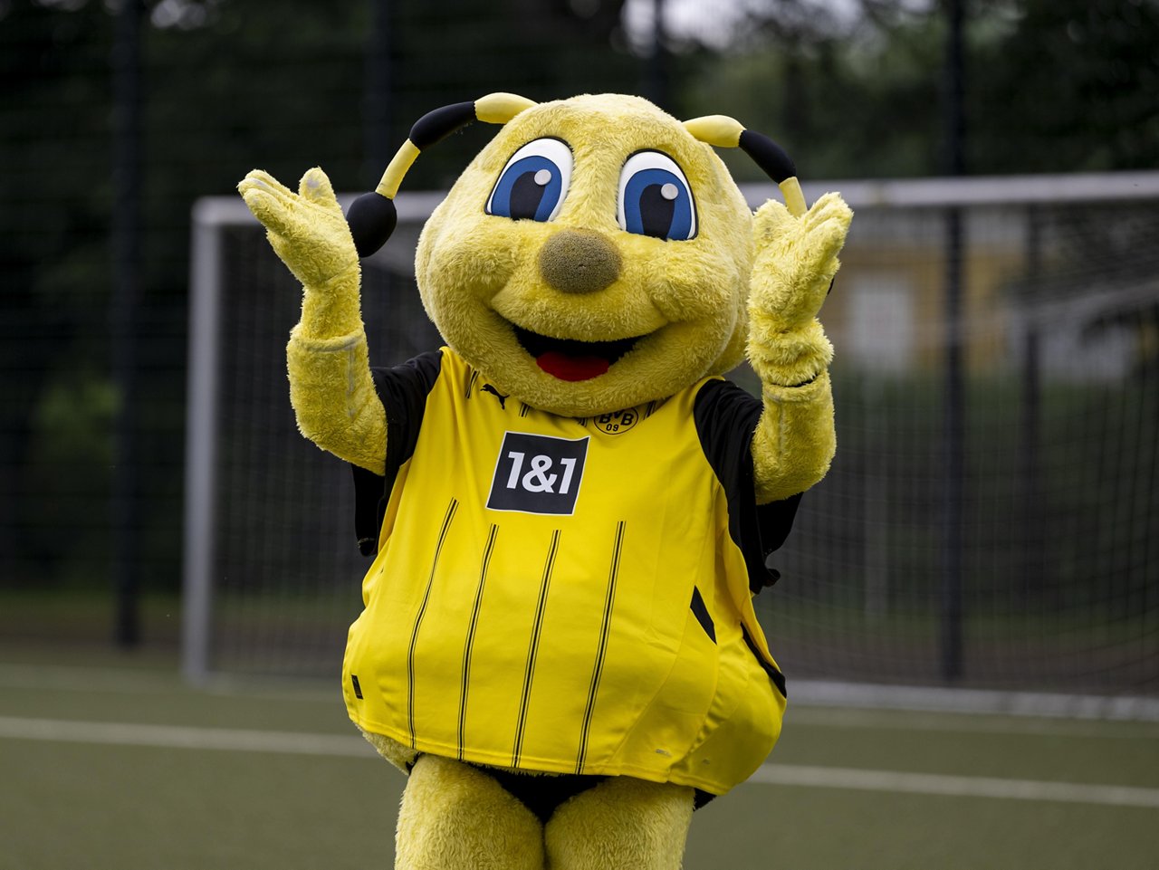 Mehr über BVB Maskottchen EMMA erfahren.