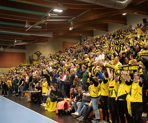 Fans-Handball.jpg