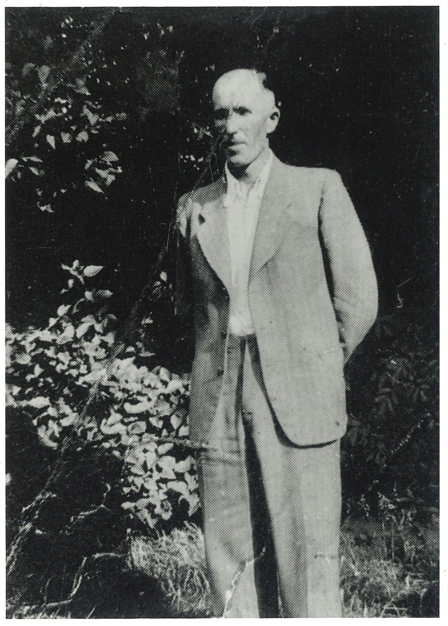 Inline Image