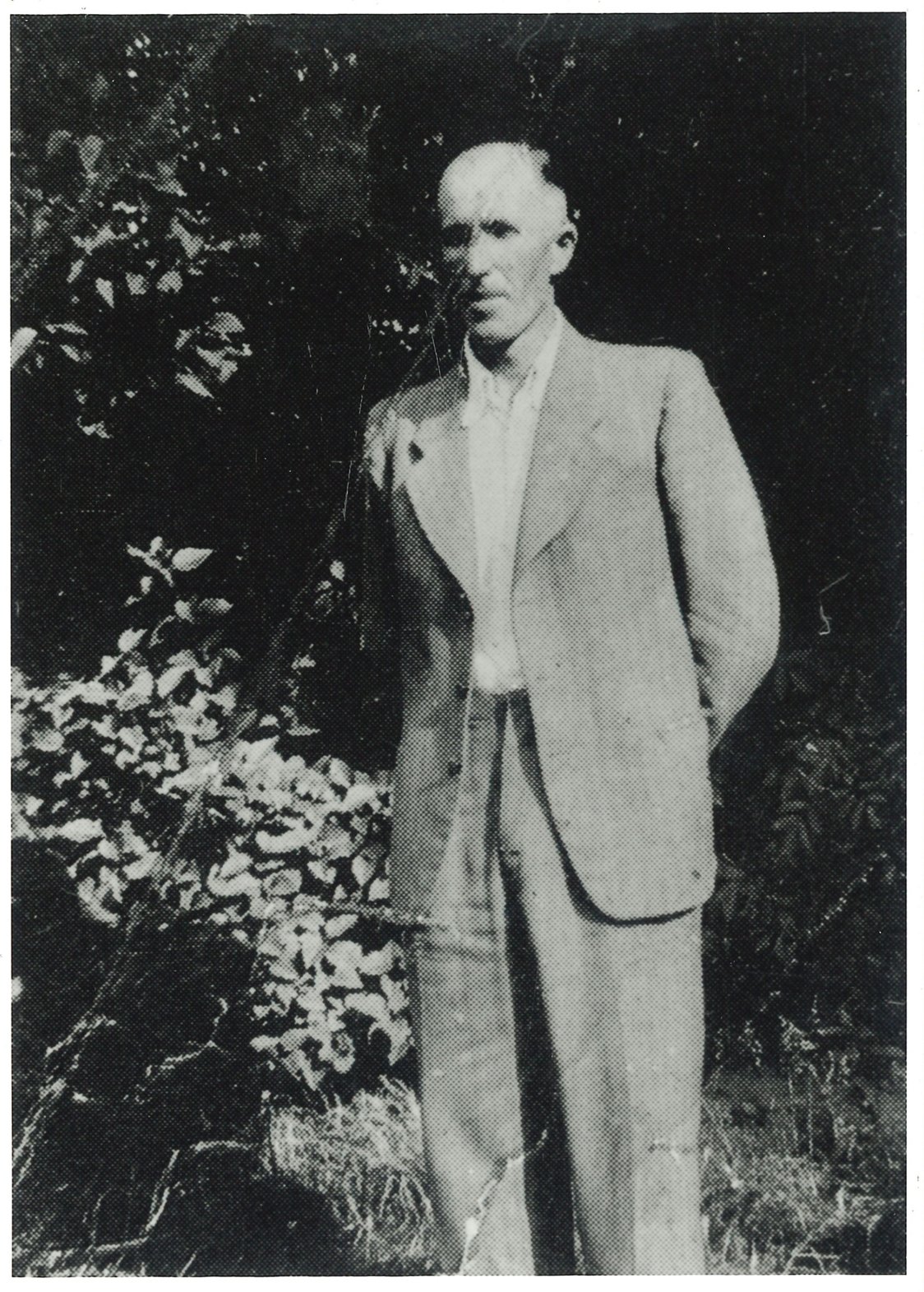 Inline Image