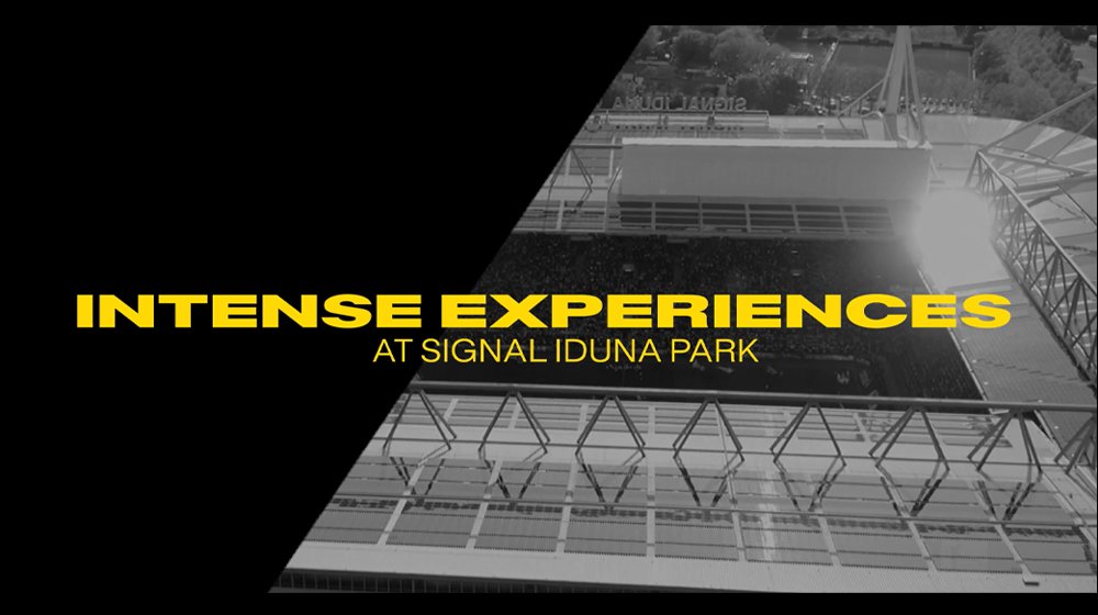 Intense experiences at SIGNAL IDUNA PARK