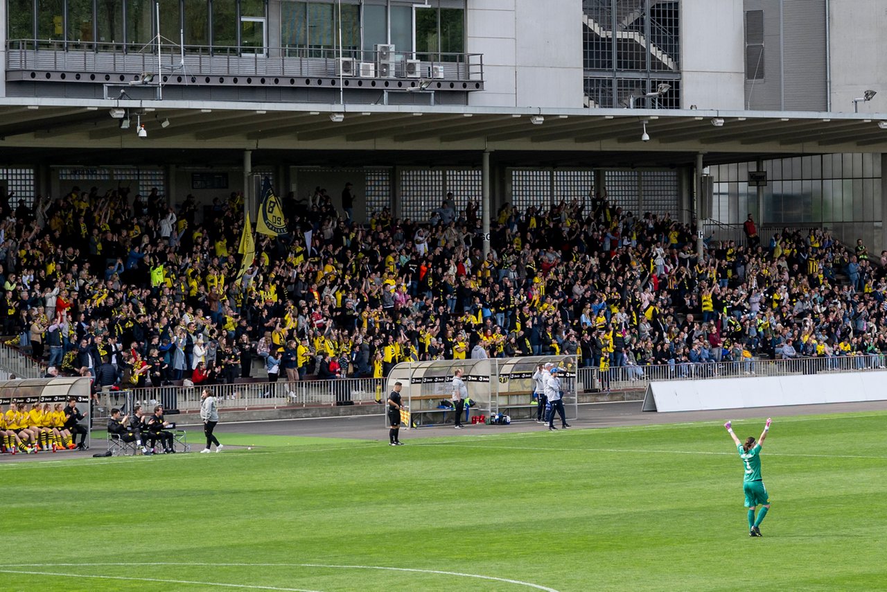 BVB Women Football