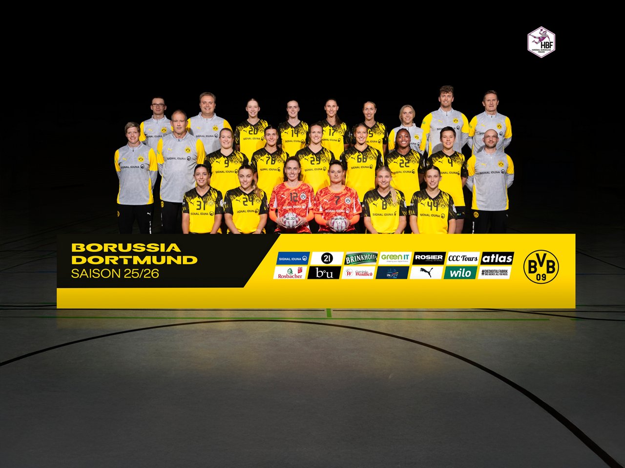 Discover the BVB handball first team.