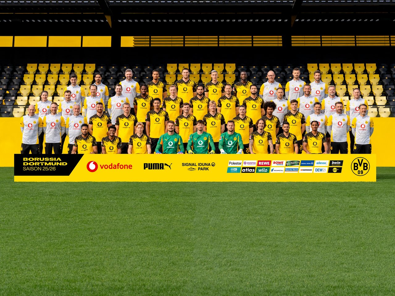 Discover the professional team.