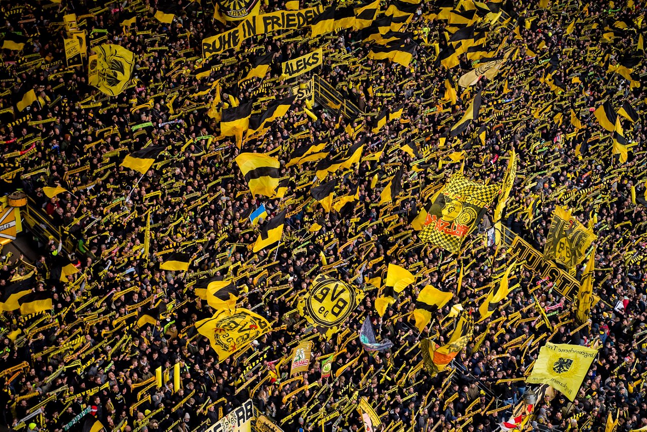 BVB fans