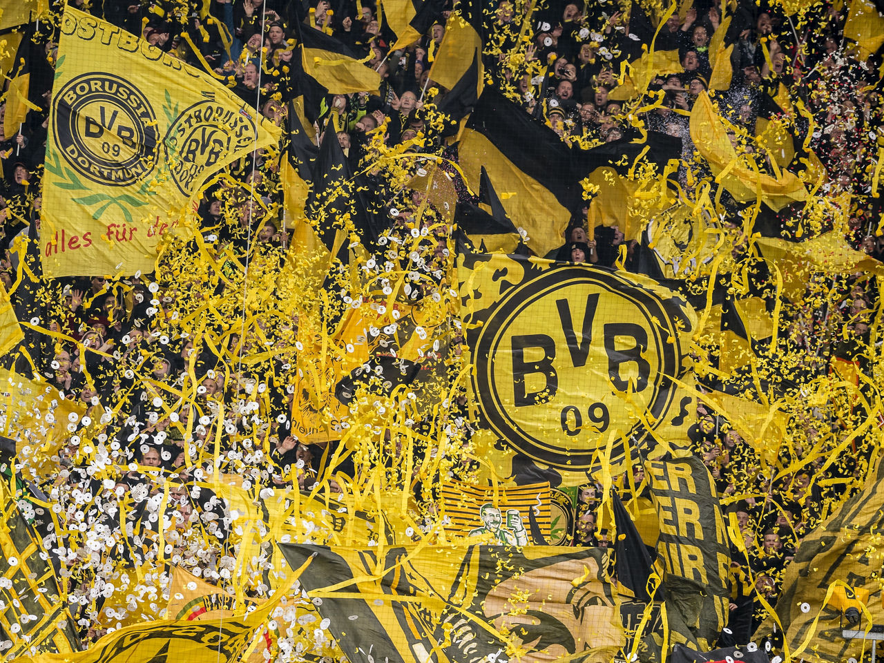 This is BVB | Welcome to the Black & Yellow