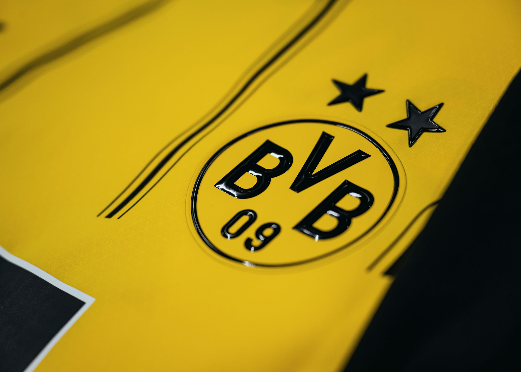 BVB complete new coaching team