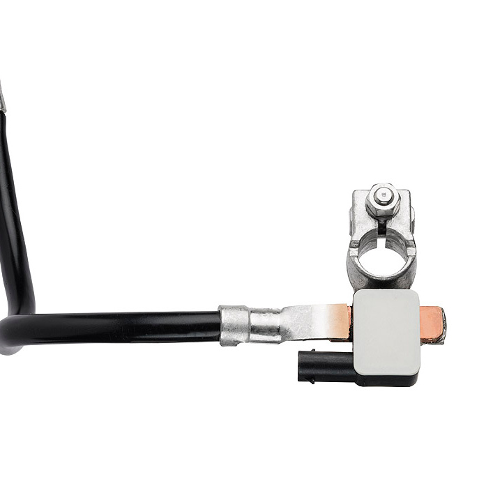 Continental Automotive Intelligent Battery Sensor