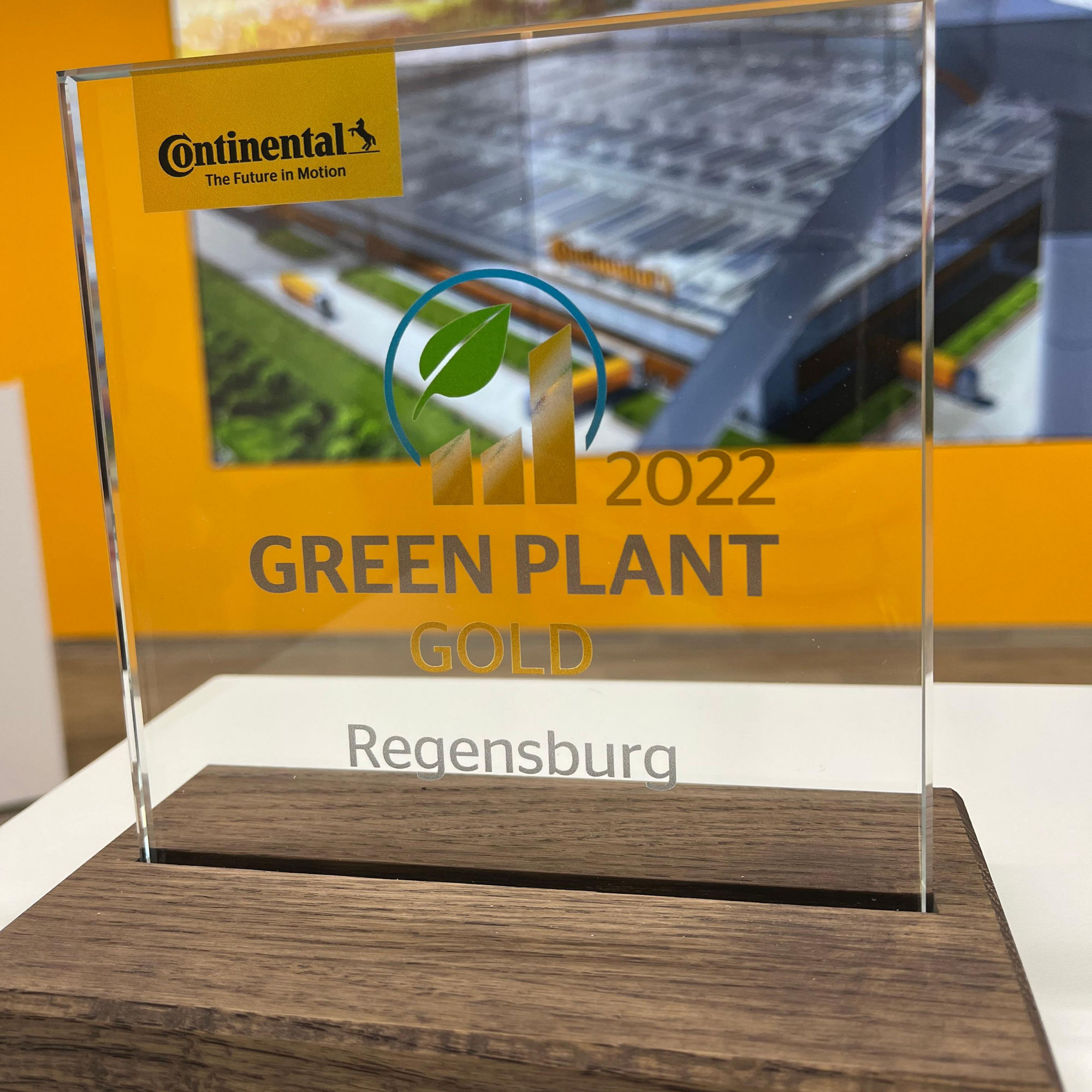 Regensburg Gold Green Plant Award