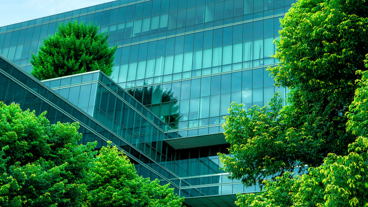 Façade of a building with green plants