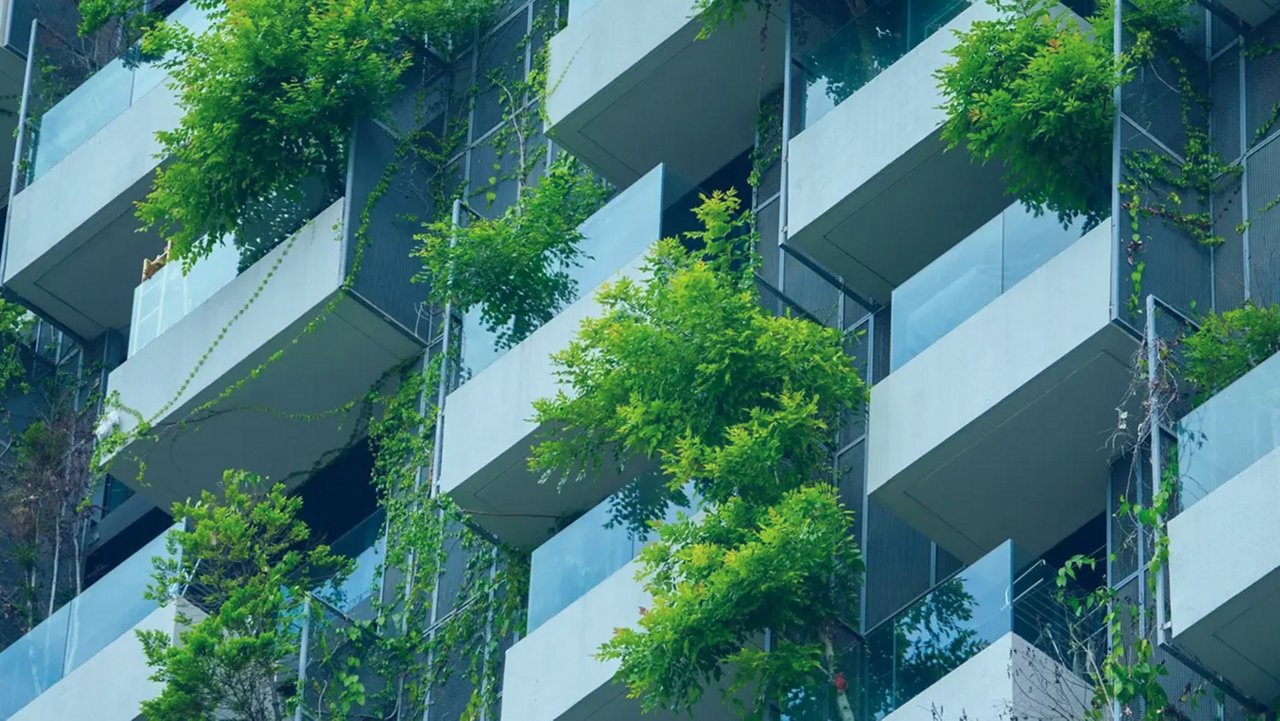 Plants outside balconies