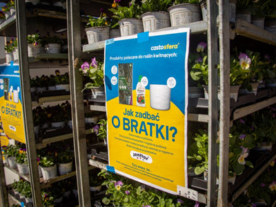 kwiaty za elektrograty