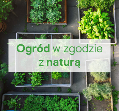 Ogród w zgodzie z naturą