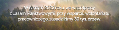 zalesianie