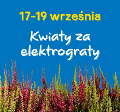 kwiaty za elektrograty 17-19 września