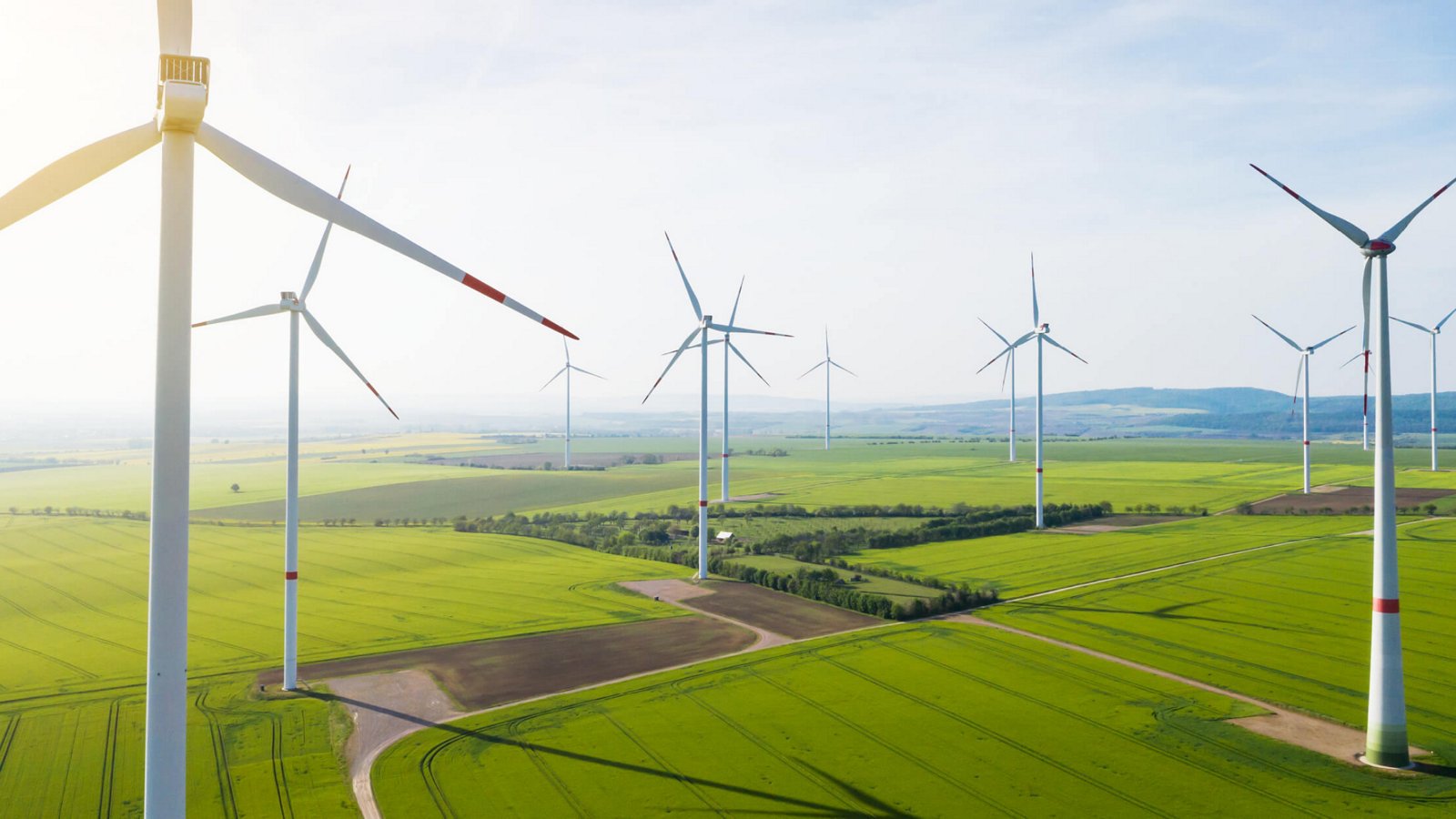 Viele Windräder auf einer grünen Wiese