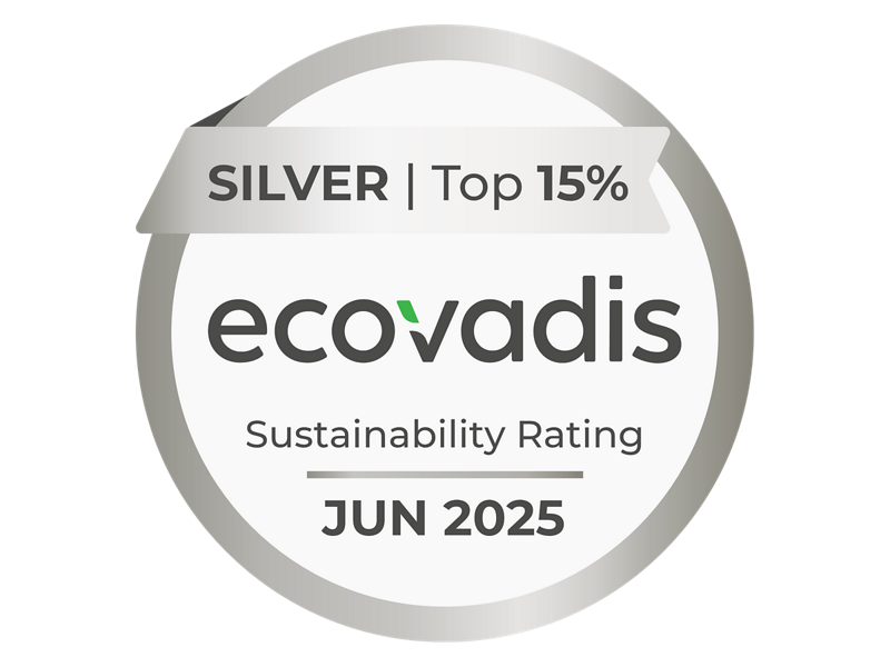 EvoVadiSilver.png