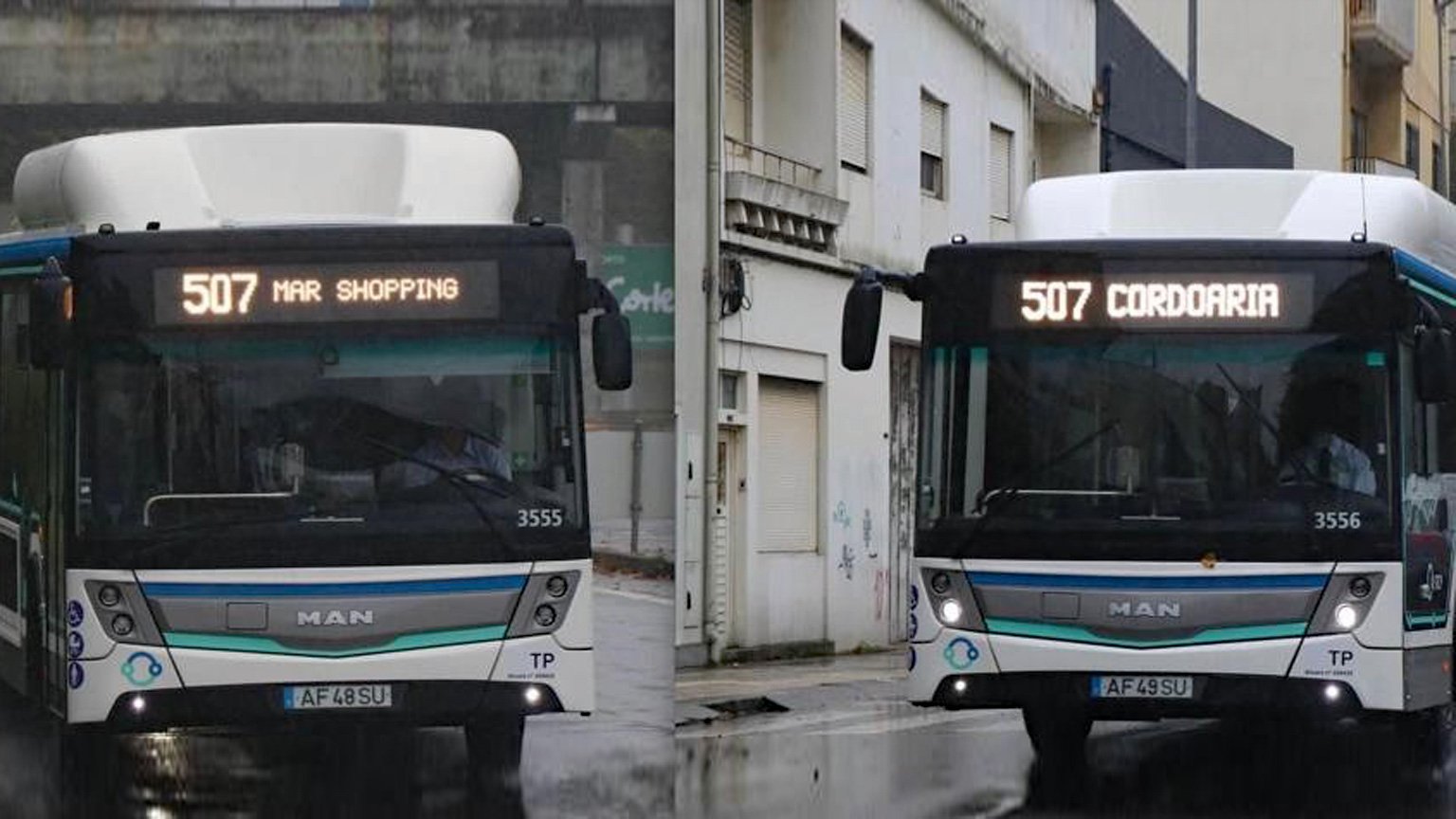 MAN-Bus---1-Teaser.jpg