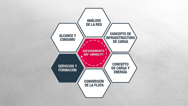 Servicios y formación