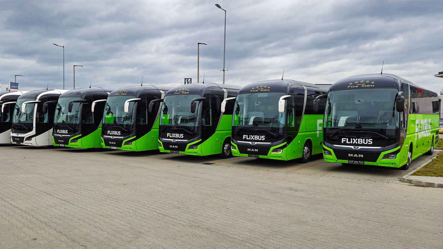 P-Bus-Five-Stars-08-cover.jpg