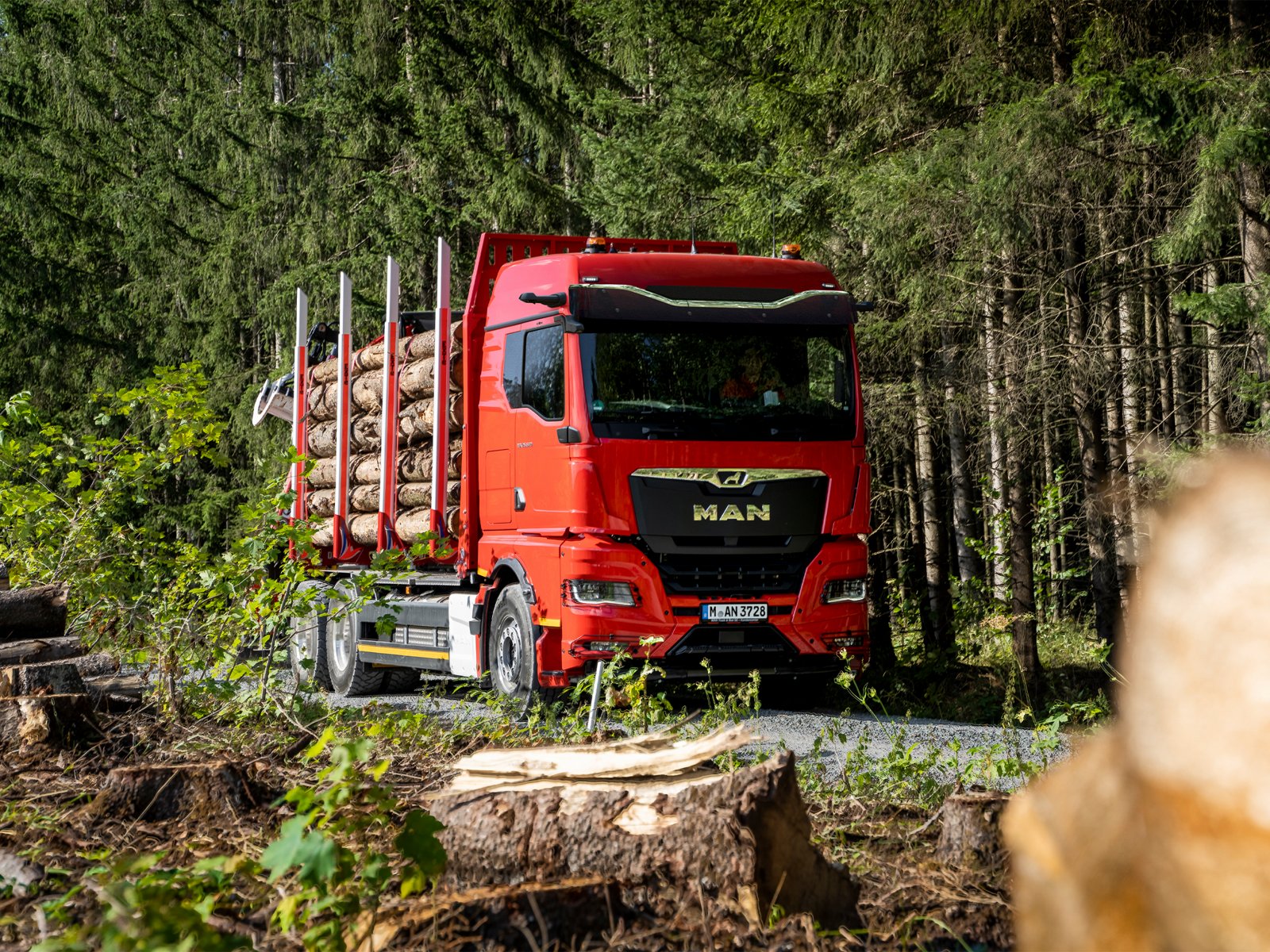 Forst-Lkw: Starker Antrieb auch auf unwegsamen Gelände. 