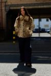 Thumbnail View 3: Silence + Noise Leopard Print Faux Fur Coat 