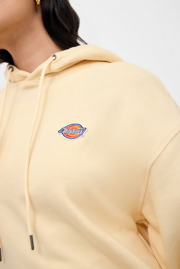 Slide View: 3: Dickies Millersburg Hoodie