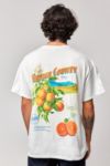 Thumbnail View 4: T-shirt UO Orange County